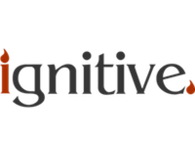Ignitive Web Design and SEO Agency