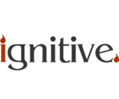 Ignitive Web Design and SEO Agency