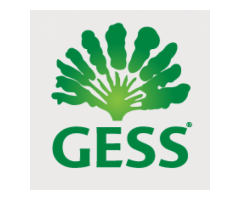 GESS