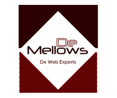 De Mellows Pte Ltd : Singapore's Preferred Digital Agency