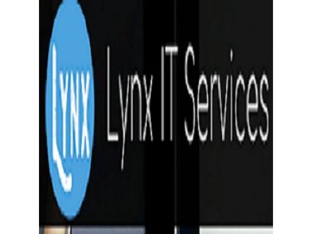  Lynx IT Services Company In Singapore
