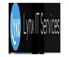  Lynx IT Services Company In Singapore