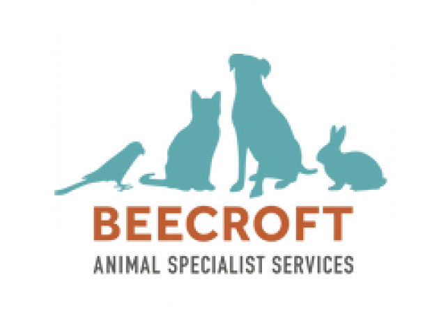 Beecroft Animal Surgical Specialists