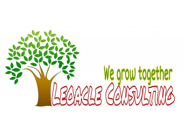 Leoacle Consulting