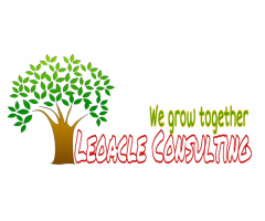 Leoacle Consulting