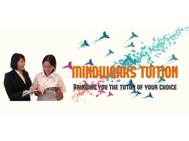 Mindworks Academy Pte Ltd