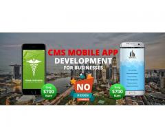 cheap mobile app design
