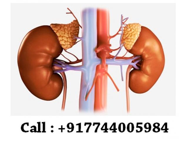 Cost of stem cell therapy for kidney failure in india