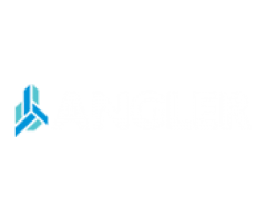 ANGLER Technologies SG Pte Ltd