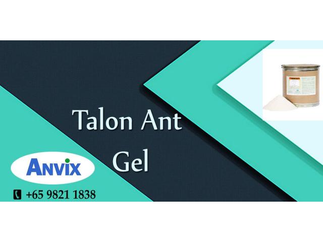 Anvix Gmbh Pte Ltd